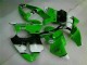 Carénages Moto & Carrosserie ZX6R 00-02 - Vert Noir